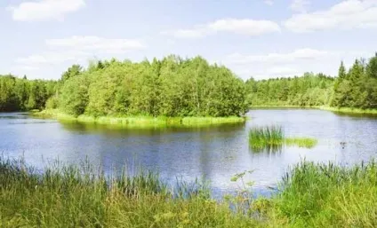 Ловля окуня в ставках, озерах, затоках старицях на джиг ловля ставкового, озерного окуня на с'едобку (озерах) Ловля окуня в ставках, озерах, затоках старицях на джиг ловля ставкового, озерного окуня на с'едобку