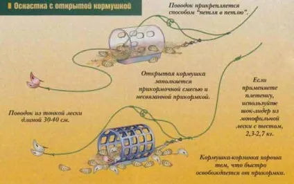 Ловля вусаня в літню пору року на озерах і річках на різні донні снасті фото відео