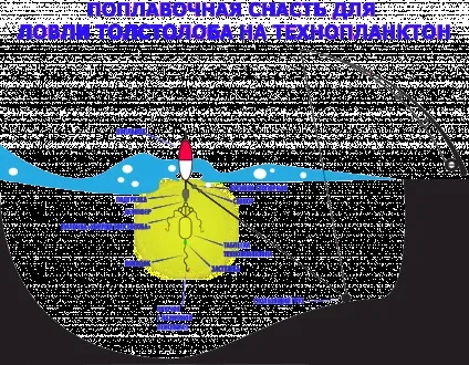 Ловля товстолобика на технопланктон - снасть, склад і рецепти виготовлення (снасть) Ловля товстолобика на технопланктон - снасть, склад і рецепти виготовлення