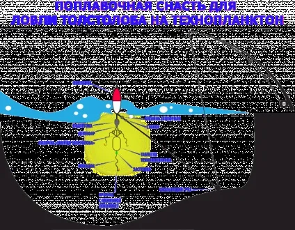 Ловля товстолобика на технопланктон види снастей і техніка вудіння (технопланктон) Ловля товстолобика на технопланктон види снастей і техніка вудіння