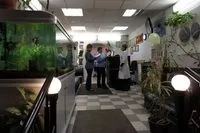 Депресія - лікування гомеопатією, відгуки пацієнтів, аконіт-Гомеомед