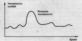 Динаміка популяції - студопедія