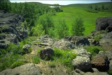 Дитяча енциклопедія
