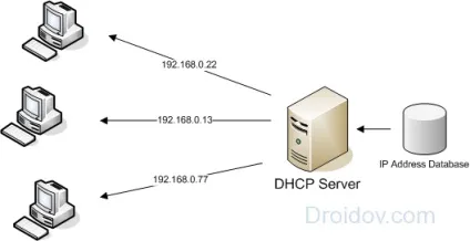 Dhcp що це таке