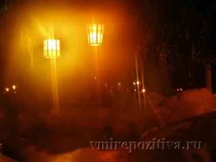 Діснейленд - країна пригод (adventureland) (відео) Діснейленд - країна пригод (adventureland)