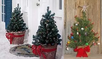Домашня ялинка в горщику