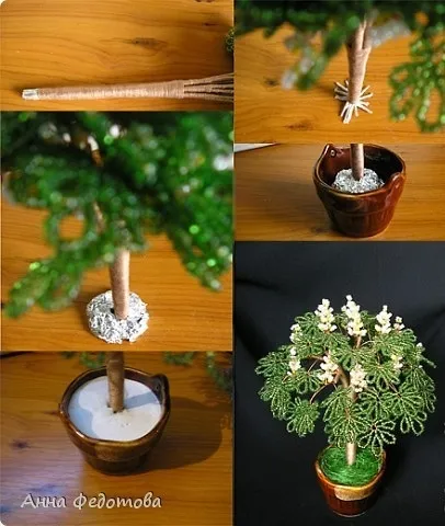 Домашній каштанчик