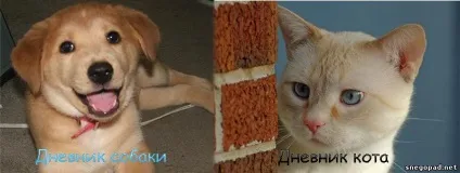 Щоденник собаки vs щоденник кота - тварини - снігопад - цікавих штучок