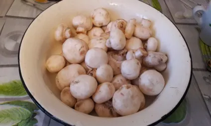 Домашня піца з куркою і грибами в духовці (домашня) Домашня піца з куркою і грибами в духовці