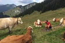 Джим керрі помер, факти (джим) Джим керрі помер, факти