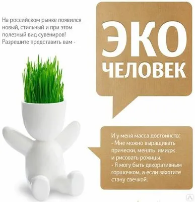 Екочеловечкі і Трав'янчик - прикрасять інтер'єр і піднімуть настрій (настрій) Екочеловечкі і Трав'янчик - прикрасять інтер'єр і піднімуть настрій