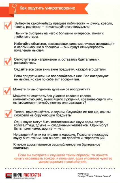 Екхарт Толле 9 практик, які змінять ваше життя (практик) Екхарт Толле 9 практик, які змінять ваше життя