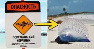 Якщо ти втратив надію, відклади всі справи, візьми листок і ручку