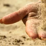 Ферментовані продукти - 20 рецептів! (Дозу корисних бактерій) Ферментовані продукти - 20 рецептів!