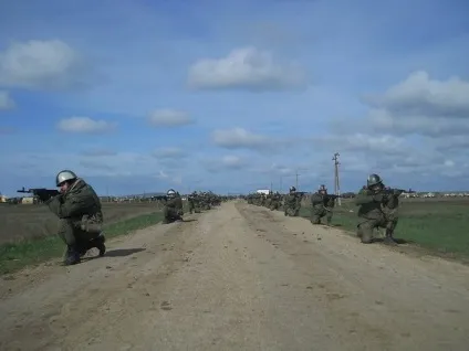 Прапор - ДШБ морської піхоти