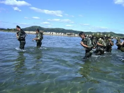 Прапор - ДШБ морської піхоти