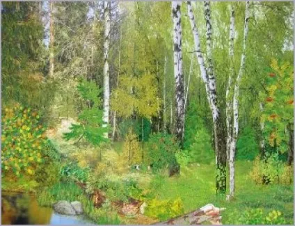 Флора і фауна землі - в листяному лісі (листяному) Флора і фауна землі - в листяному лісі