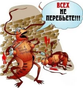Де ховаються таргани на які місця звернути увагу (місця) Де ховаються таргани на які місця звернути увагу