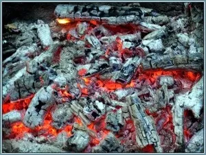 Гастропоз лікування народними засобами (гастропоз) Гастропоз лікування народними засобами