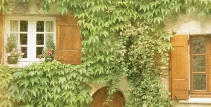 Фрески «орто» в інтер'єрі, готові фрески на стіну і фрески на замовлення «орто», ціни в Сумие, (фреска на стіну) Фрески «орто» в інтер'єрі, готові фрески на стіну і фрески на замовлення «орто», ціни в Сумие,