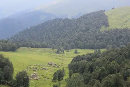 Гагра що подивитися і куди сходити - відпочинок і визначні пам'ятки (подивитися) Гагра що подивитися і куди сходити - відпочинок і визначні пам'ятки