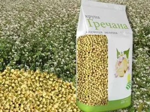 Гречка фото як цвіте поля і сади, гречка і гречана каша, рецепти і дієта (цвіте) Гречка фото як цвіте поля і сади, гречка і гречана каша, рецепти і дієта