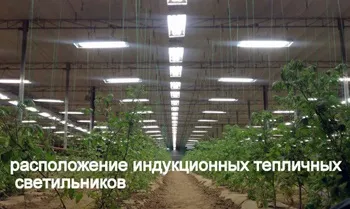Індукційні лампи для рослин своїми руками (рослин) Індукційні лампи для рослин своїми руками