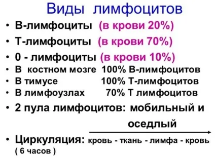 Імунна система