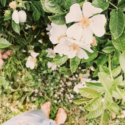 Instagram nataliya truffes truffez online photos viewer (online) Instagram nataliya truffes truffez online photos viewer