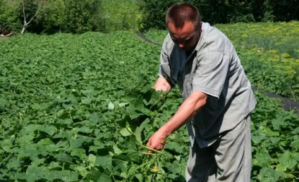 Історія зі смаком