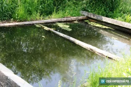 Історія зі смаком