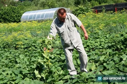 Історія зі смаком