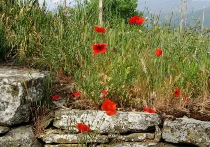 Італійська село, будинок в італії (італійська) Італійська село, будинок в італії