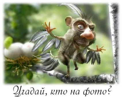 Цікаве для комп'ютера, програми для комп'ютера