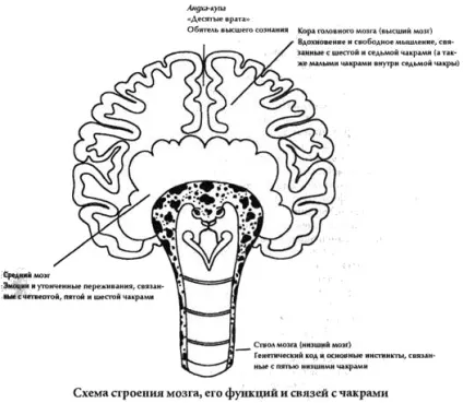 Історія тантри