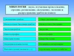 Яка наука вивчає гриби - науковий довідник (гриби) Яка наука вивчає гриби - науковий довідник
