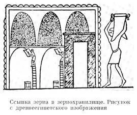 Образотворча і графічна культура стародавнього Єгипту - студопедія (стародавнього) Образотворча і графічна культура стародавнього Єгипту - студопедія