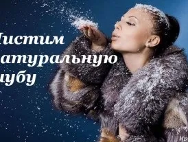 Як чистити шубу з лисиці, майстер на всі руки (як чистити шубу з лисиці) Як чистити шубу з лисиці, майстер на всі руки