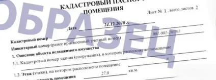 Кадастровий паспорт на квартиру (номер який повинен) Кадастровий паспорт на квартиру