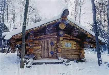 Яка вагонка краще для лазні порівняння 11 порід деревини (вагонка для лазні) Яка вагонка краще для лазні порівняння 11 порід деревини