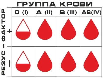 Яка група крові найкраща (крові) Яка група крові найкраща