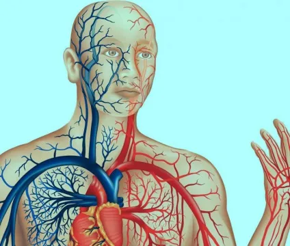 Позбавляємося від дискомфорту в голові методика м (позбавляємося дискомфорту голові) Позбавляємося від дискомфорту в голові методика м