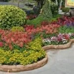 Як зробити декоративний паркан для клумби своїми руками фото і відео інструкція (декоративний) Як зробити декоративний паркан для клумби своїми руками фото і відео інструкція