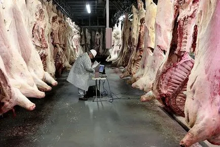 Hogyan készítsünk húst eszünk (45 fotó)