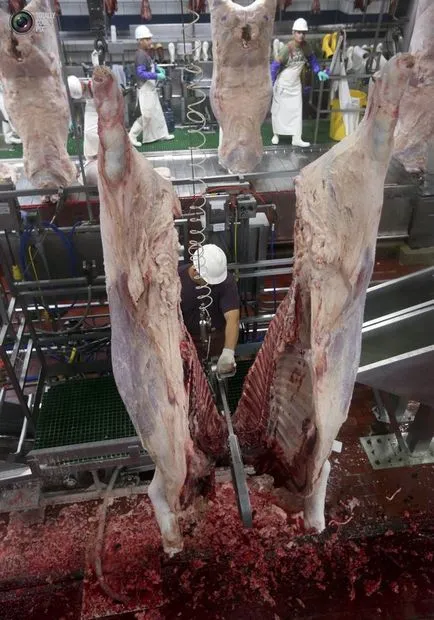 Hogyan készítsünk húst eszünk (45 fotó)