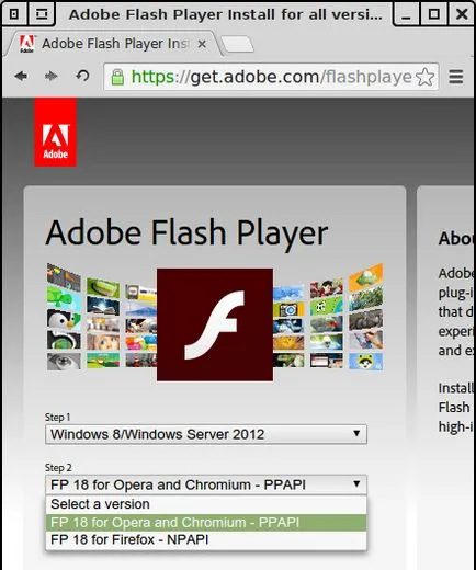 Cum de a remedia vulnerabilitățile de securitate cauzate de utilizarea Adobe Flash