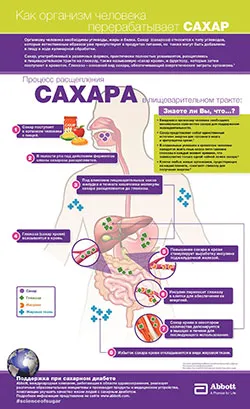 Mivel az emberi test feldolgozza cukor - Abbott Magyarország