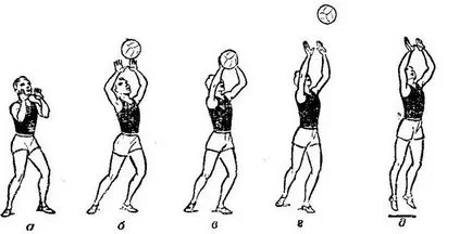 Как да се извърши прехвърлянето на топката във волейбола