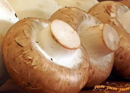 Cum se prăjesc ciupercile pe gratar cum să se pregătească sosul