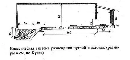 Както включва устойчивост - отглеждане и устойчивост - отглеждане